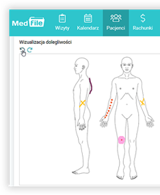 program-dla-fizjoterapeuty-medfile.png