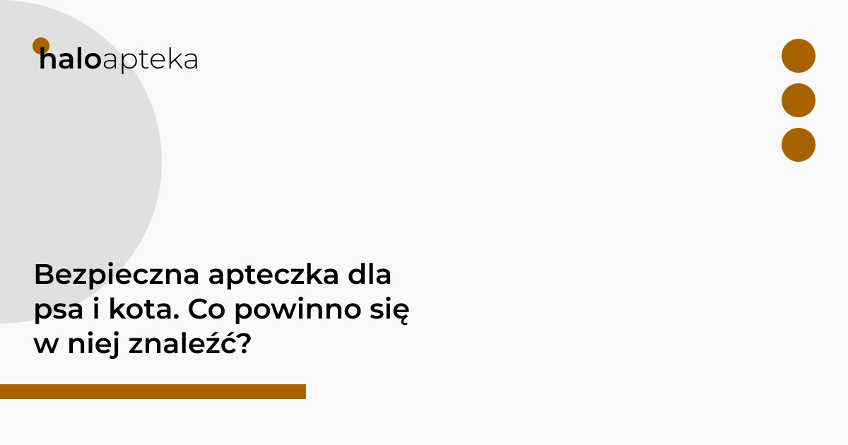 Bezpieczna apteczka dla psa i kota. Co powinno się w niej znaleźć?