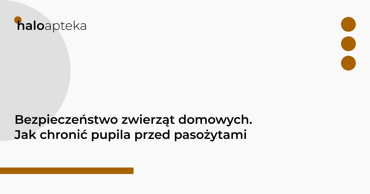 Bezpieczeństwo zwierząt domowych. Jak chronić pupila przed pasożytami