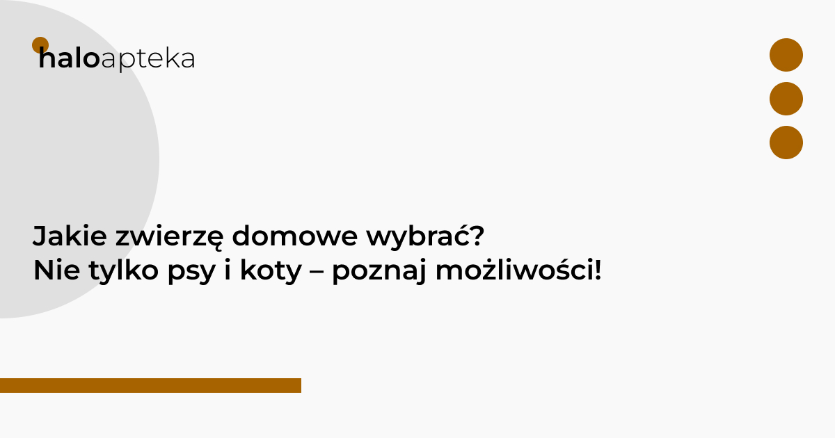 Jakie zwierzę domowe wybrać? Nie tylko psy i koty – poznaj możliwości!